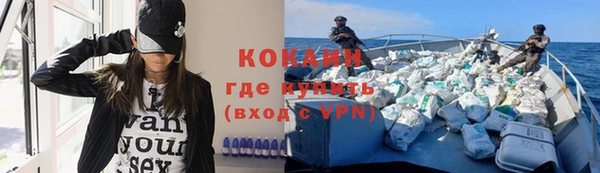 сатива Заводоуковск