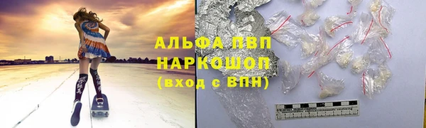 сатива Заводоуковск