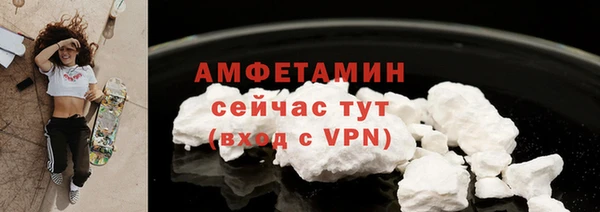 сатива Заводоуковск