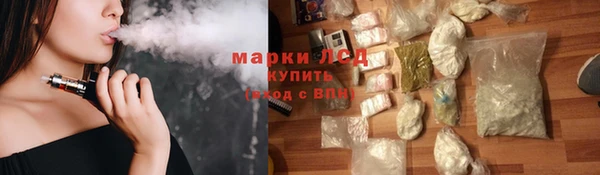 сатива Заводоуковск