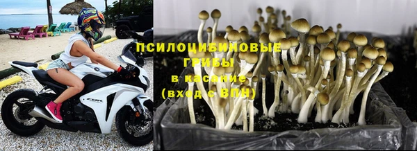 спайс Заволжск