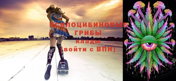сатива Заводоуковск