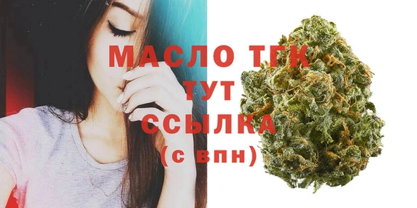 сатива Заводоуковск